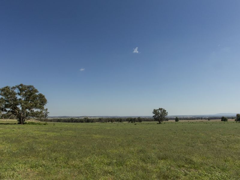 SPRINGVIEW Loch Lomond Road, Gooloogong NSW 2805