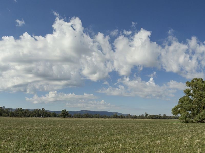 SPRINGVIEW Loch Lomond Road, Gooloogong NSW 2805