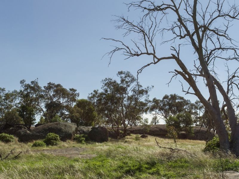 SPRINGVIEW Loch Lomond Road, Gooloogong NSW 2805