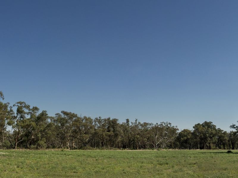 SPRINGVIEW Loch Lomond Road, Gooloogong NSW 2805