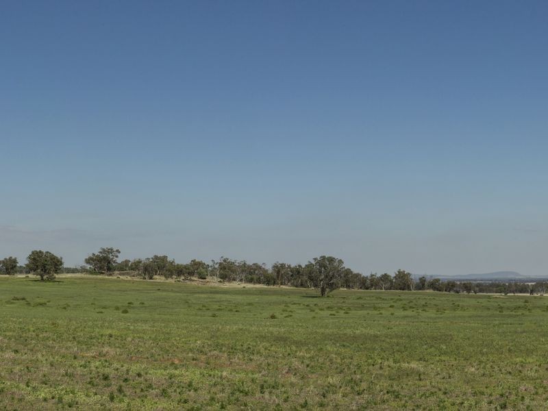 SPRINGVIEW Loch Lomond Road, Gooloogong NSW 2805