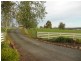 68 Wickham Lane, Young NSW 2594