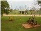 68 Wickham Lane, Young NSW 2594