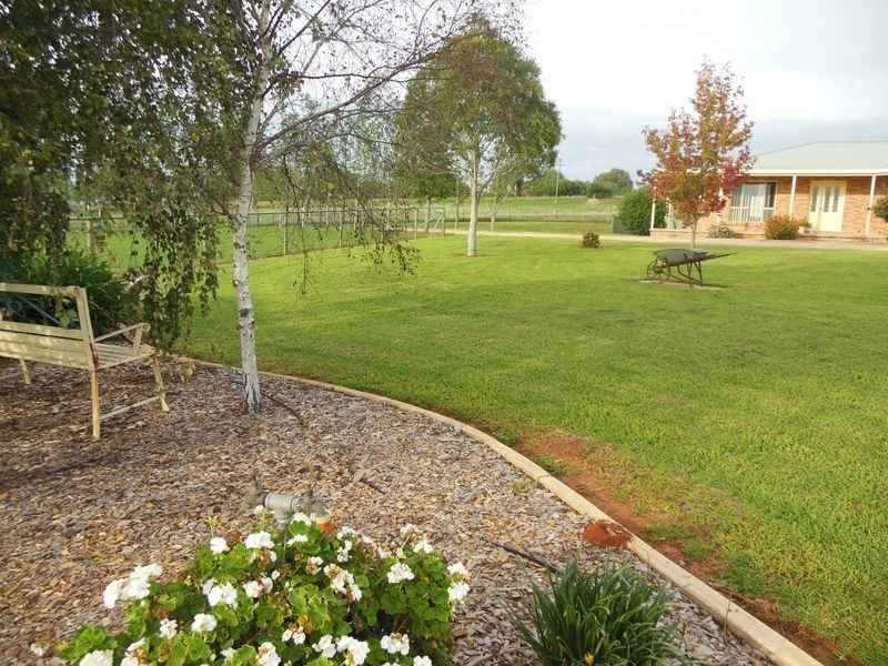 68 Wickham Lane, Young NSW 2594