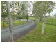 68 Wickham Lane, Young NSW 2594