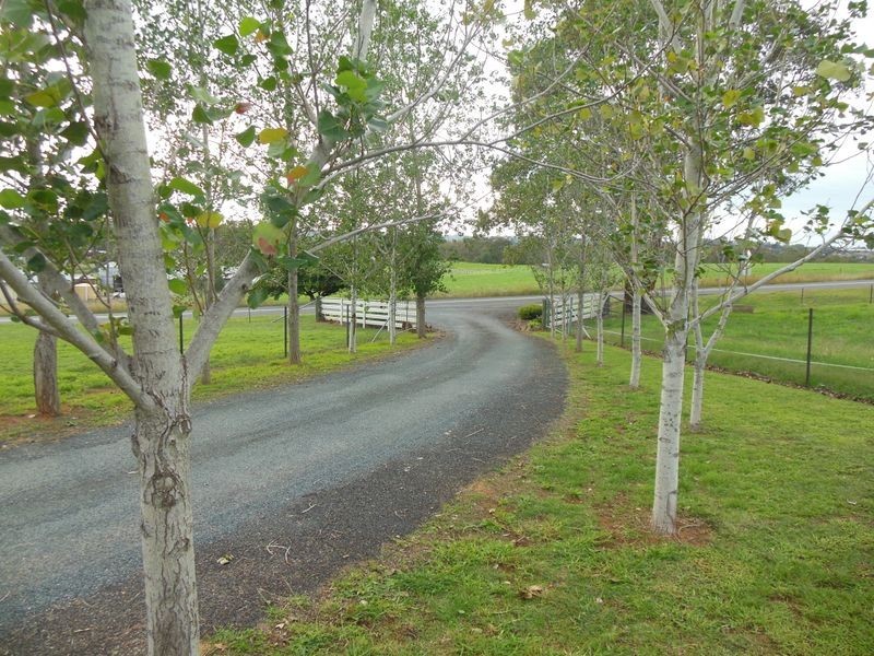 68 Wickham Lane, Young NSW 2594