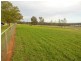 68 Wickham Lane, Young NSW 2594