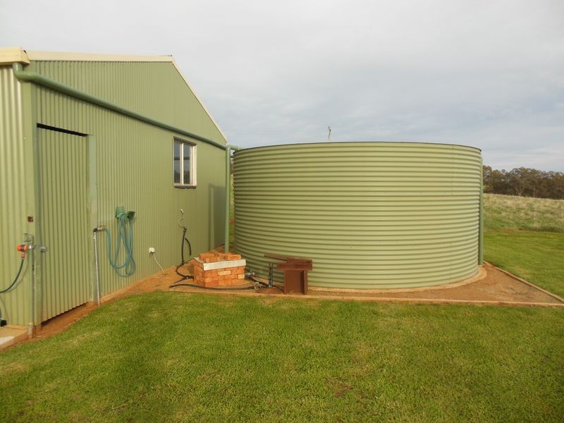 68 Wickham Lane, Young NSW 2594