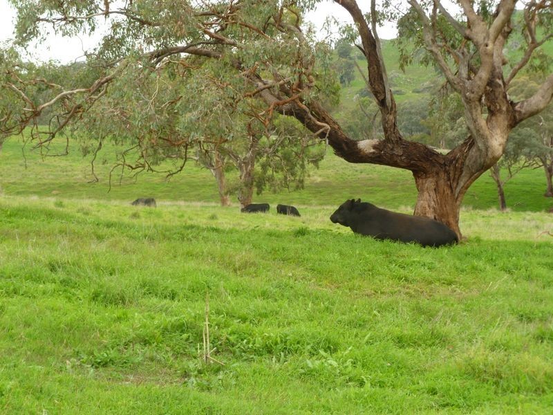 Harden – Jugiong Road, Jugiong NSW 2726