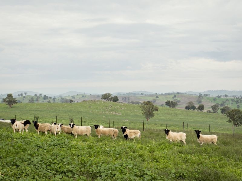 Harden – Jugiong Road, Jugiong NSW 2726