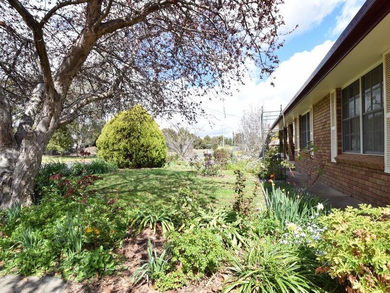 95 Thornhill Street, Young NSW 2594