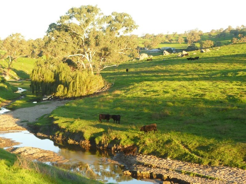 Harden – Jugiong Road, Harden NSW 2587