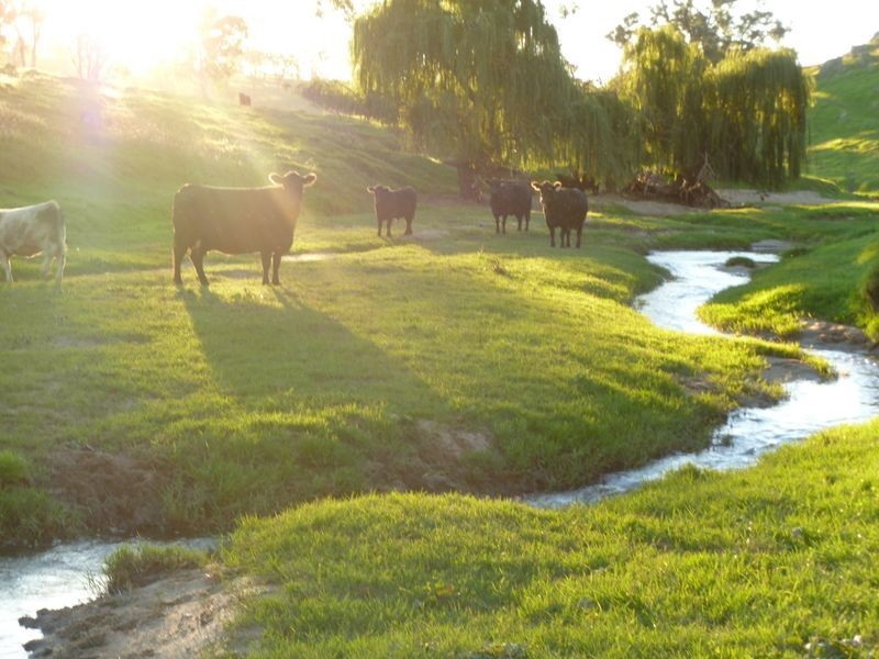Harden – Jugiong Road, Harden NSW 2587
