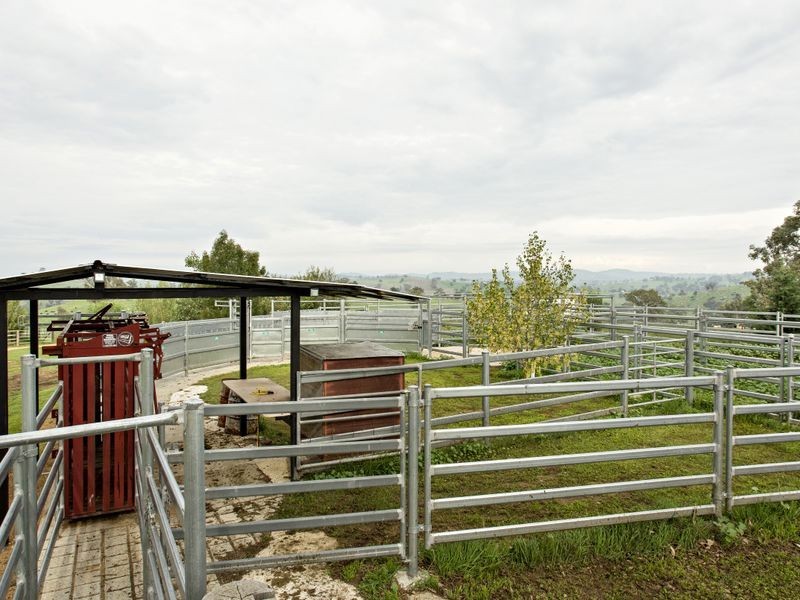 Harden – Jugiong Road, Harden NSW 2587