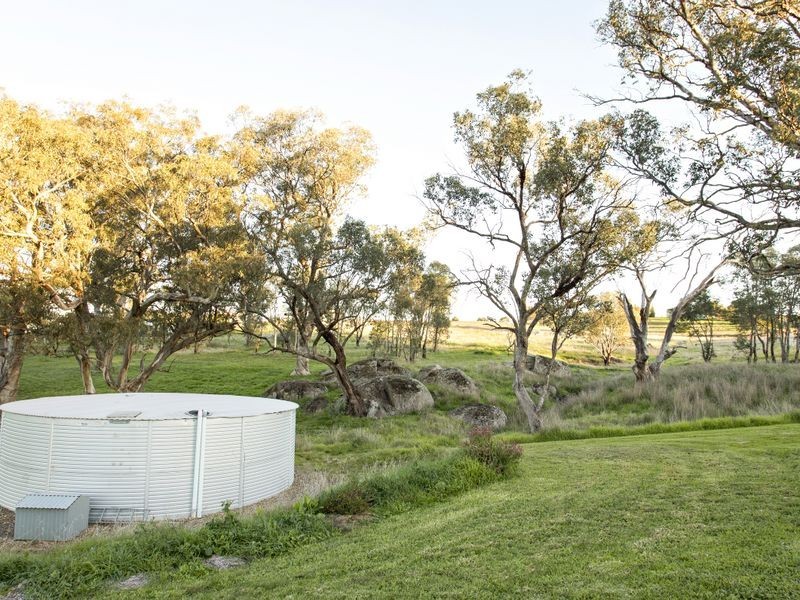 88 Burrows Road, Young NSW 2594