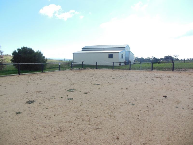 78 Apps Lane, Young NSW 2594