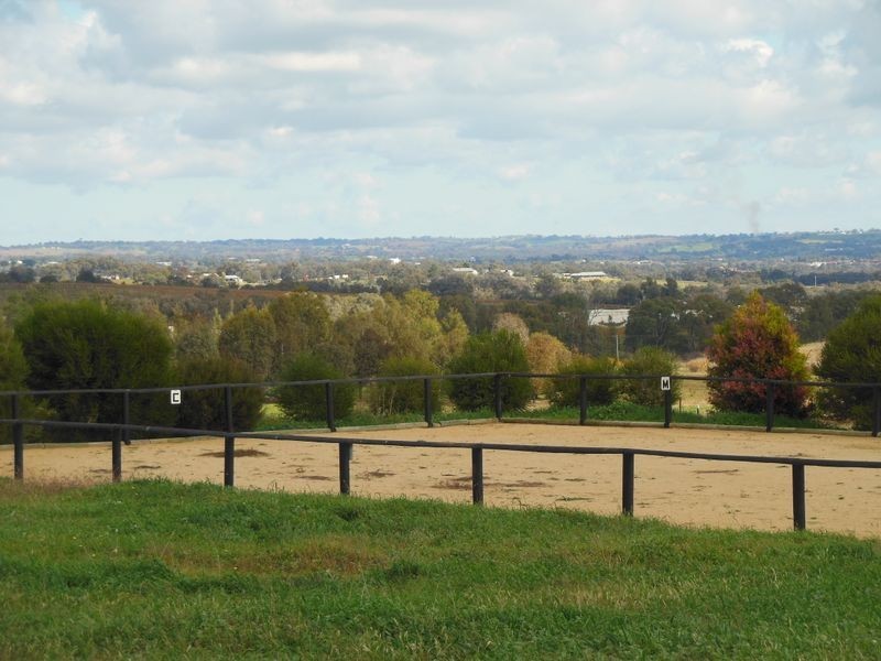 78 Apps Lane, Young NSW 2594