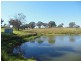 1341 Geegullalong Rd, Young NSW 2594