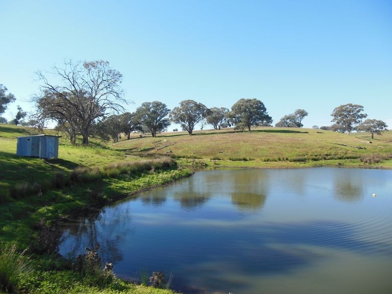 1341 Geegullalong Rd, Young NSW 2594
