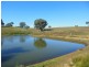 1341 Geegullalong Rd, Young NSW 2594