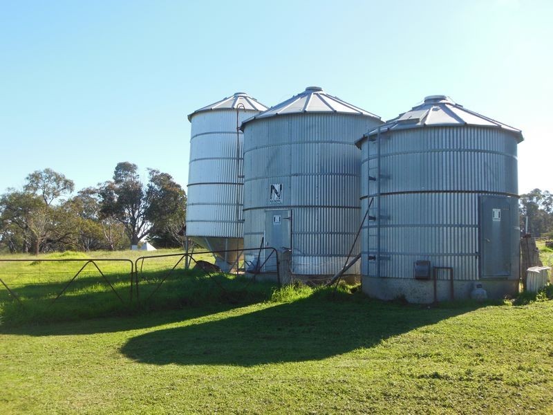1341 Geegullalong Rd, Young NSW 2594
