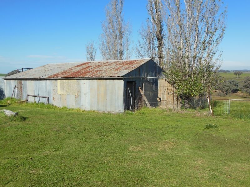 1341 Geegullalong Rd, Young NSW 2594