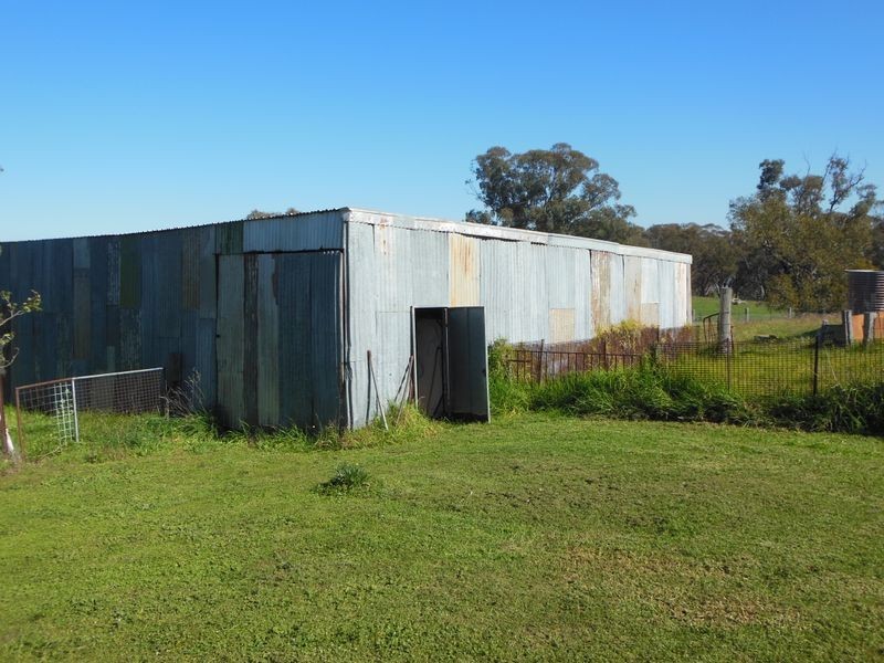 1341 Geegullalong Rd, Young NSW 2594
