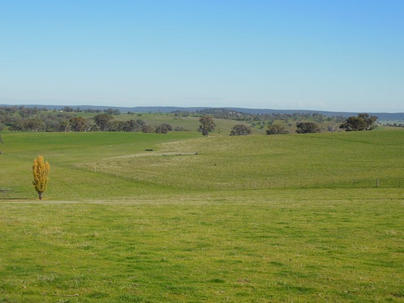 1341 Geegullalong Rd, Young NSW 2594