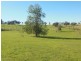 1341 Geegullalong Rd, Young NSW 2594