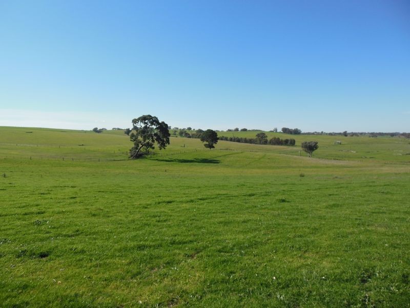 1341 Geegullalong Rd, Young NSW 2594