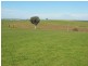 1341 Geegullalong Rd, Young NSW 2594