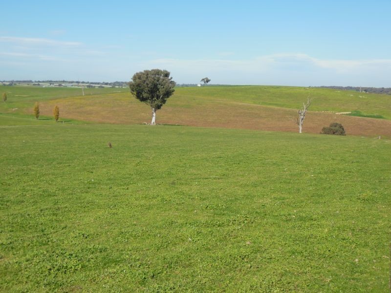 1341 Geegullalong Rd, Young NSW 2594
