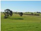1341 Geegullalong Rd, Young NSW 2594