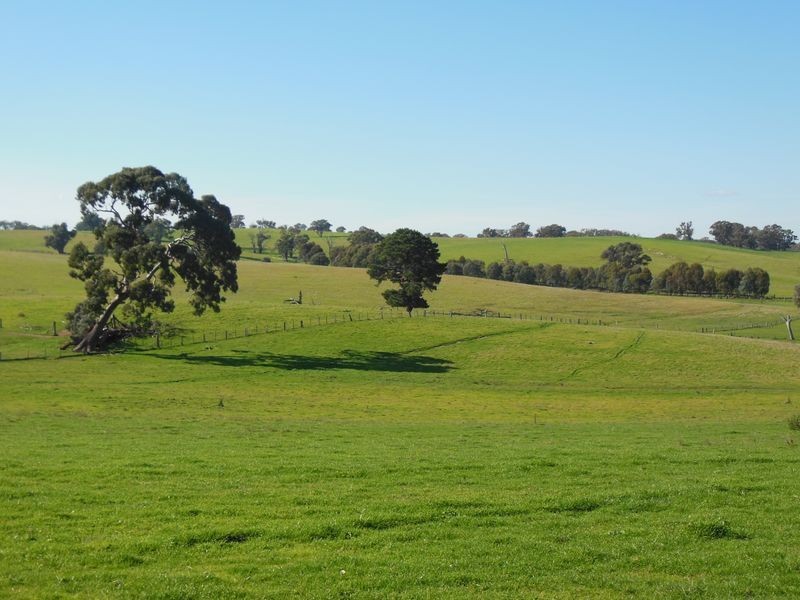 1341 Geegullalong Rd, Young NSW 2594