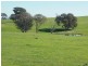 1341 Geegullalong Rd, Young NSW 2594