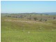 1341 Geegullalong Rd, Young NSW 2594