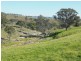 1341 Geegullalong Rd, Young NSW 2594