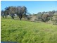 1341 Geegullalong Rd, Young NSW 2594