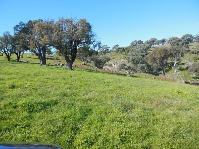 1341 Geegullalong Rd, Young NSW 2594