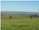 1341 Geegullalong Rd, Young NSW 2594