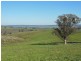 1341 Geegullalong Rd, Young NSW 2594