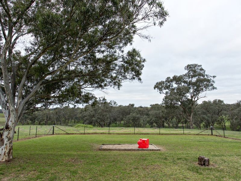 3290 Moppity Rd, Young NSW 2594