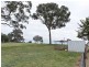 3290 Moppity Rd, Young NSW 2594