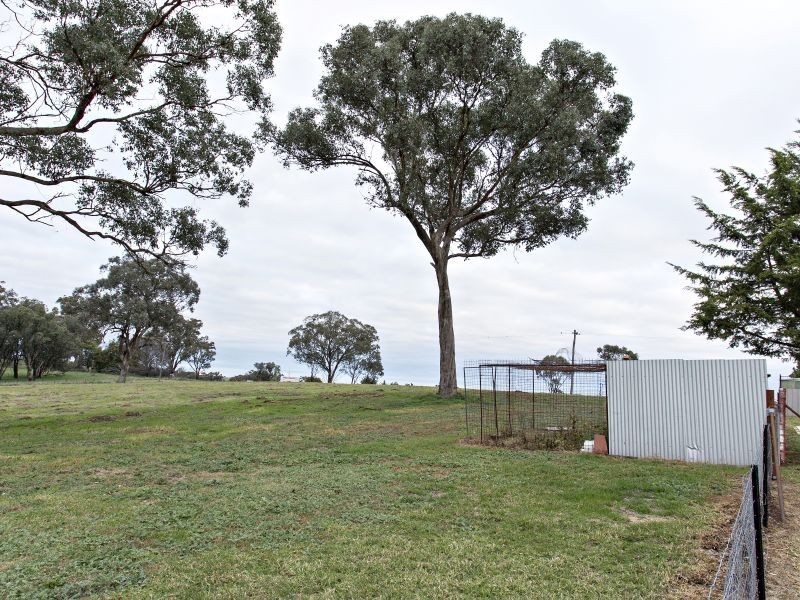 3290 Moppity Rd, Young NSW 2594