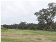 3290 Moppity Rd, Young NSW 2594