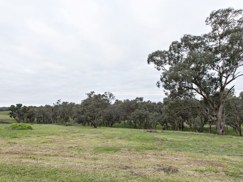 3290 Moppity Rd, Young NSW 2594