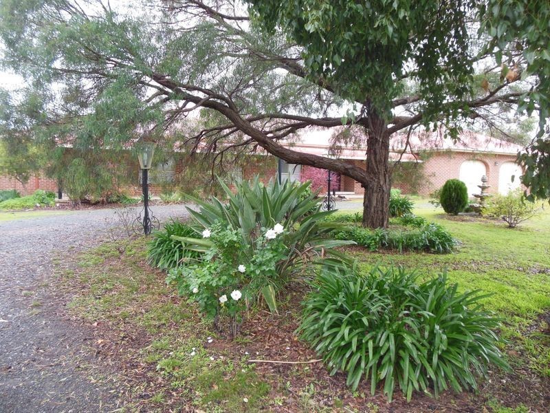 224 Henry Lawson Way, Young NSW 2594