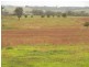 224 Henry Lawson Way, Young NSW 2594
