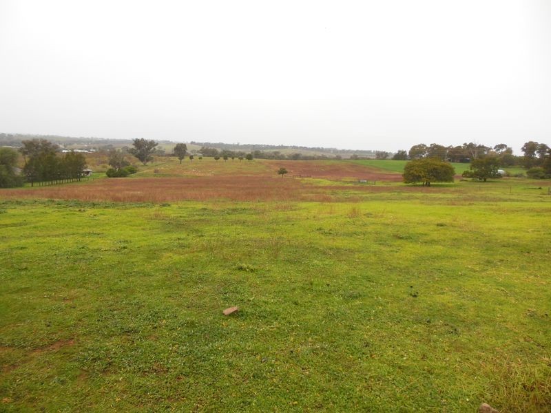 224 Henry Lawson Way, Young NSW 2594