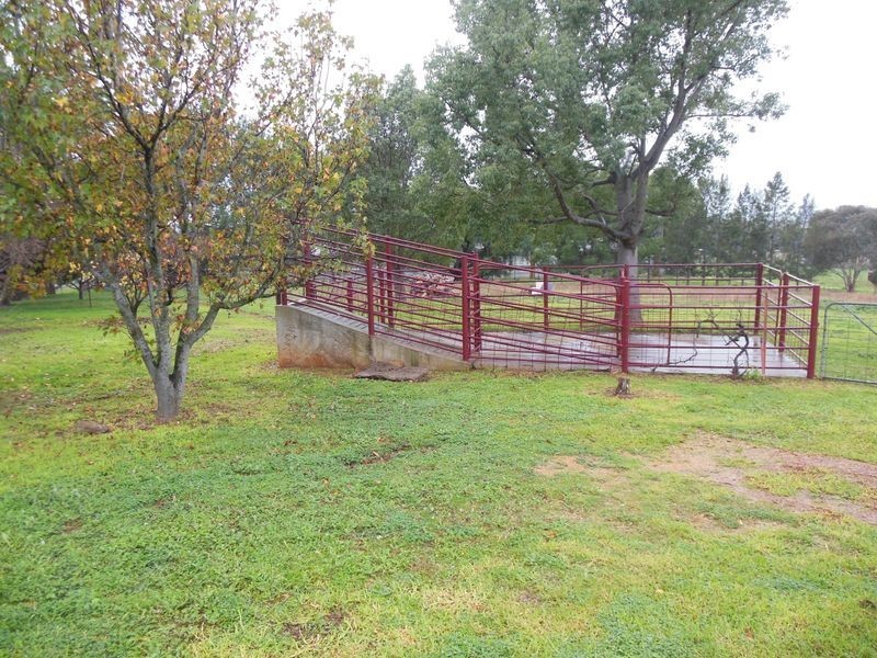 224 Henry Lawson Way, Young NSW 2594